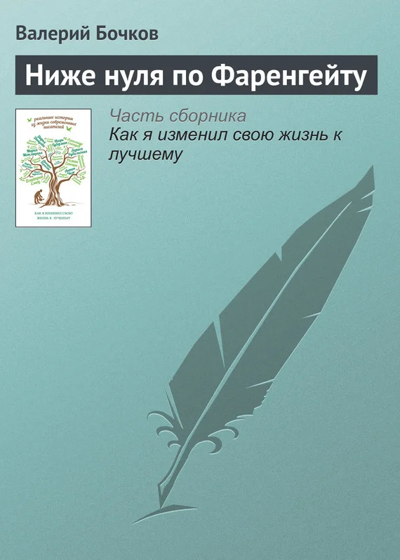 Обложка Ниже нуля по Фаренгейту