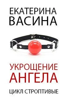 Обложка Укрощение Ангела