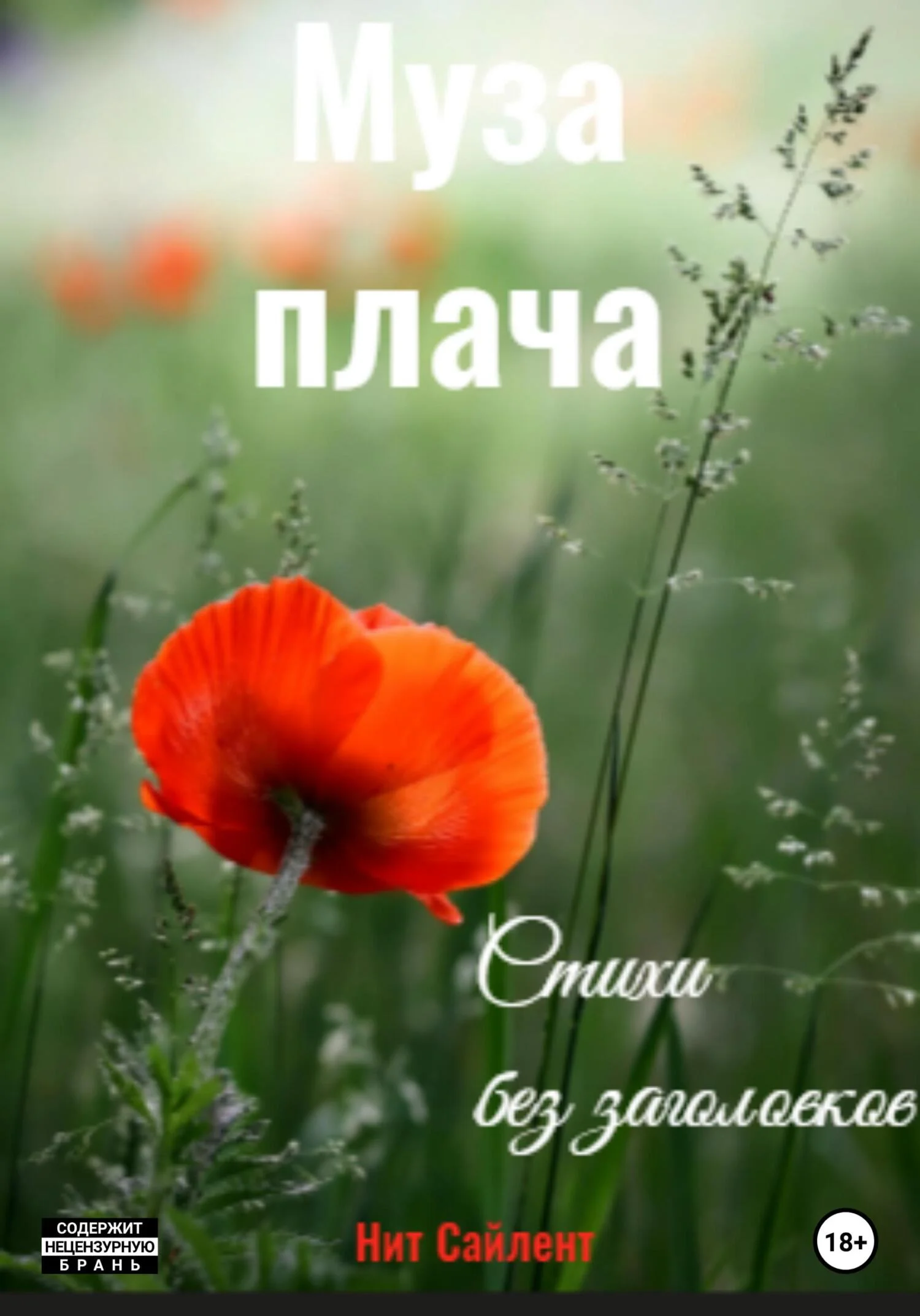 Обложка Муза плача