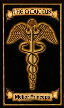 Обложка Кадуцей. Между жизнью и смертью