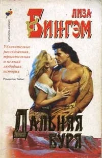 Обложка Дальняя буря