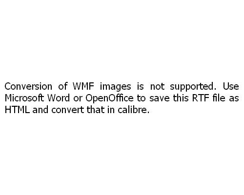 Обложка Дикий Кот