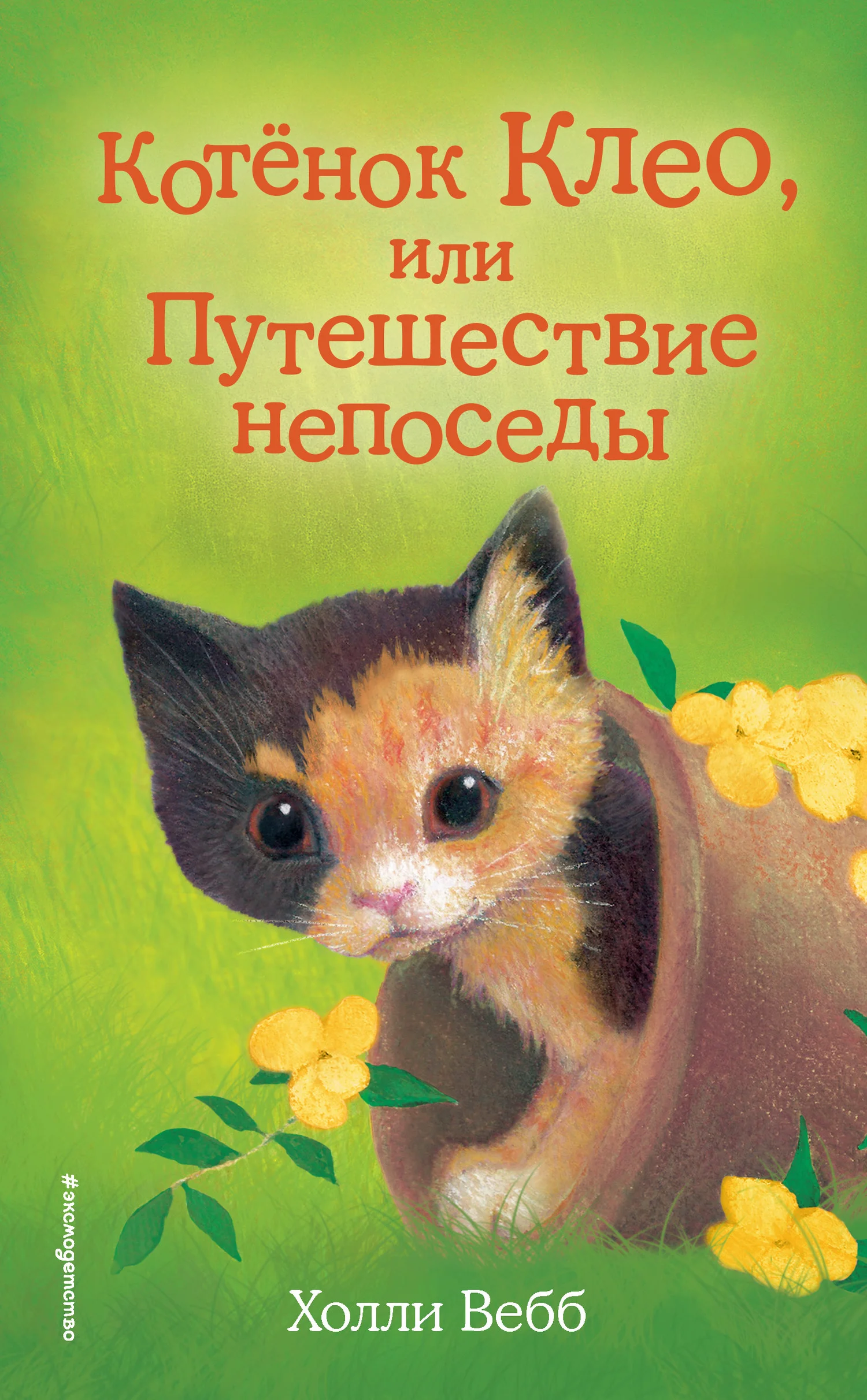 Обложка Котёнок Клео, или Путешествие непоседы