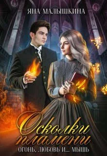 Обложка Осколки пламени. Огонь, любовь и... мышь