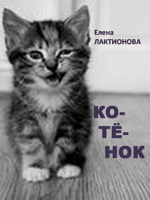 Обложка Котенок