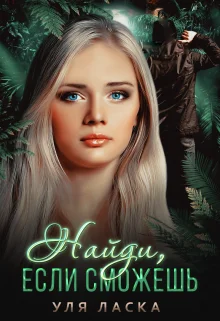 Обложка Найди, если сможешь