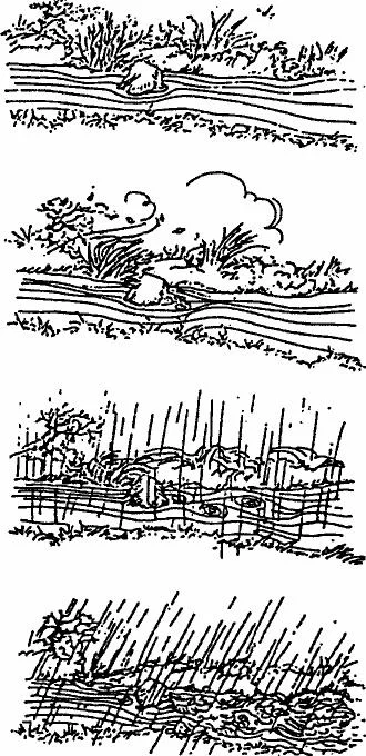 Обложка Торговый Хаос 2