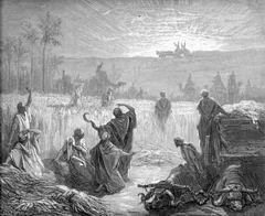 Обложка Первая книга Царств