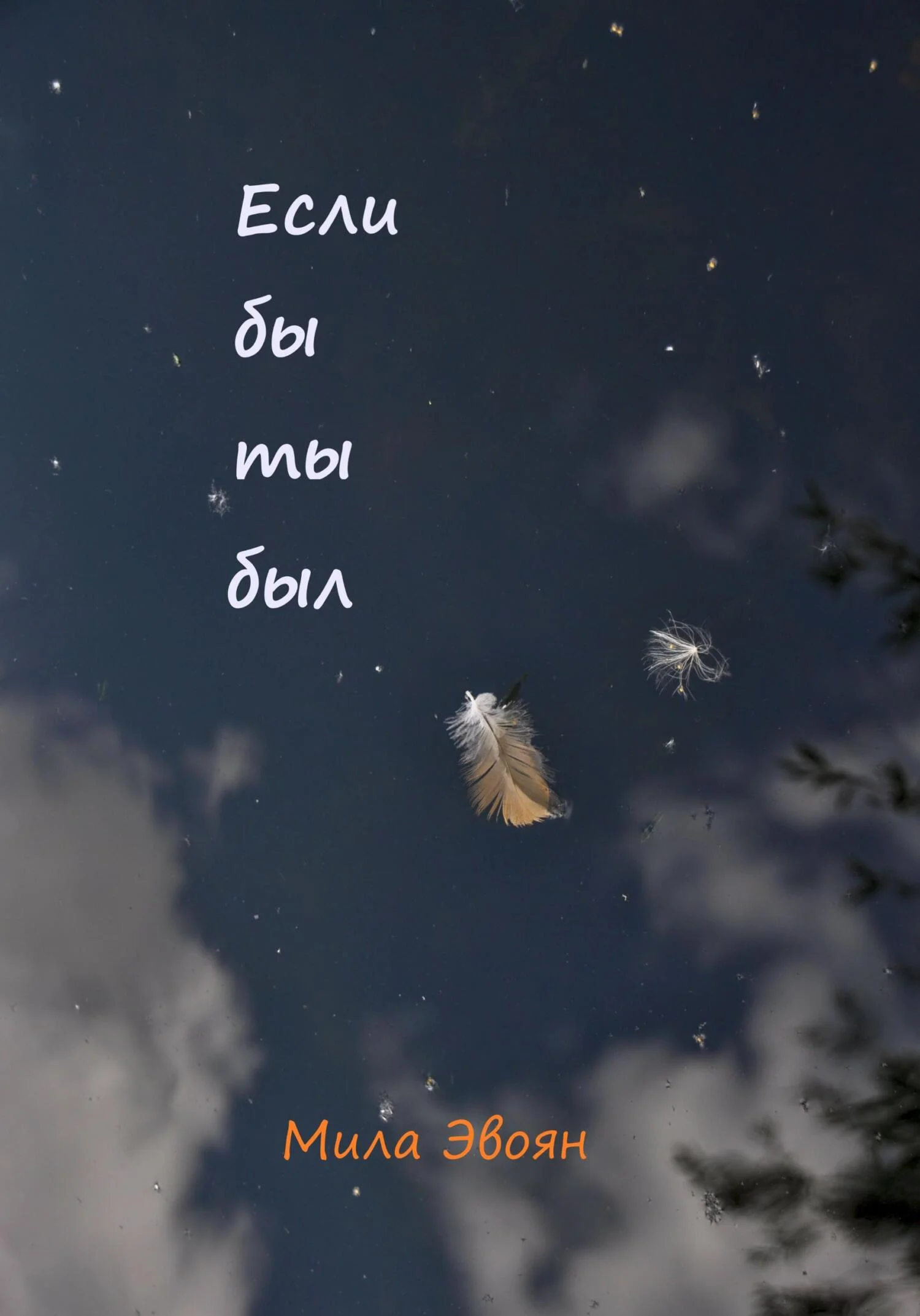 Обложка Если бы ты был