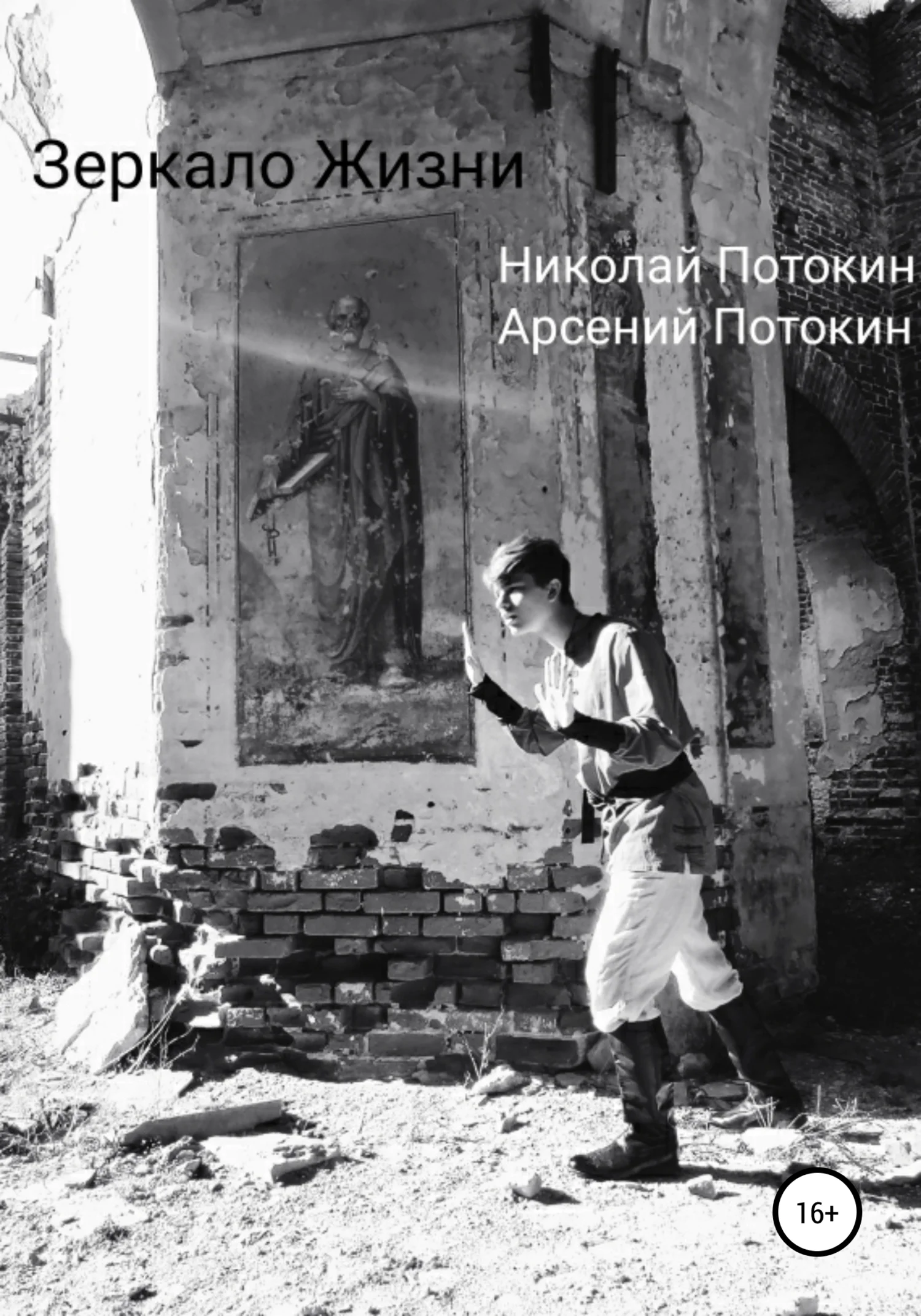 Обложка Зеркало Жизни