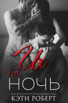 Обложка Их на ночь