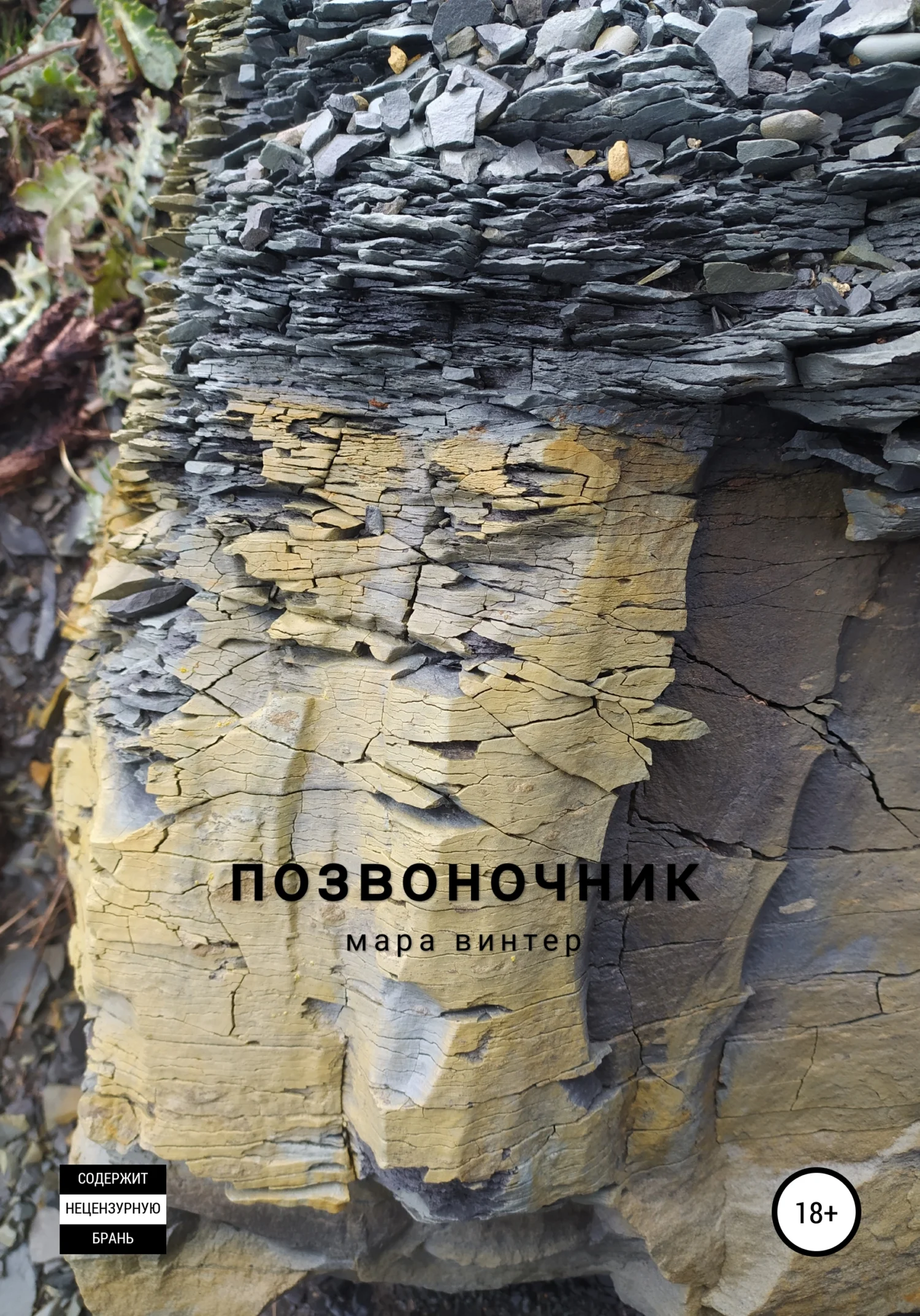 Обложка Позвоночник