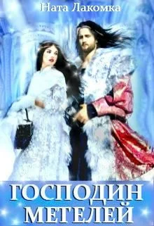 Обложка Господин метелей