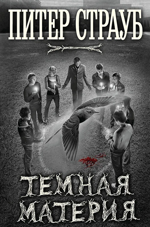 Обложка Темная материя