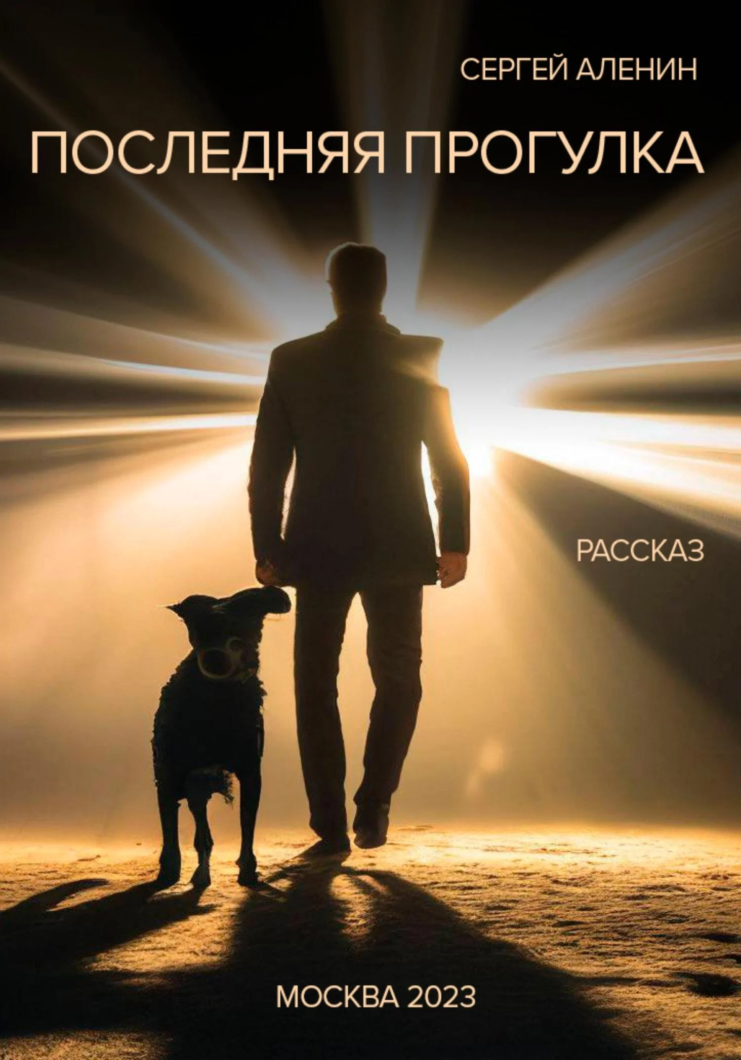 Обложка Последняя прогулка