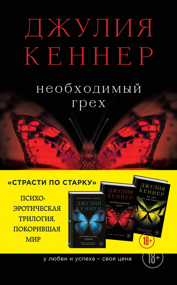 Обложка Необходимый грех. У любви и успеха – своя цена