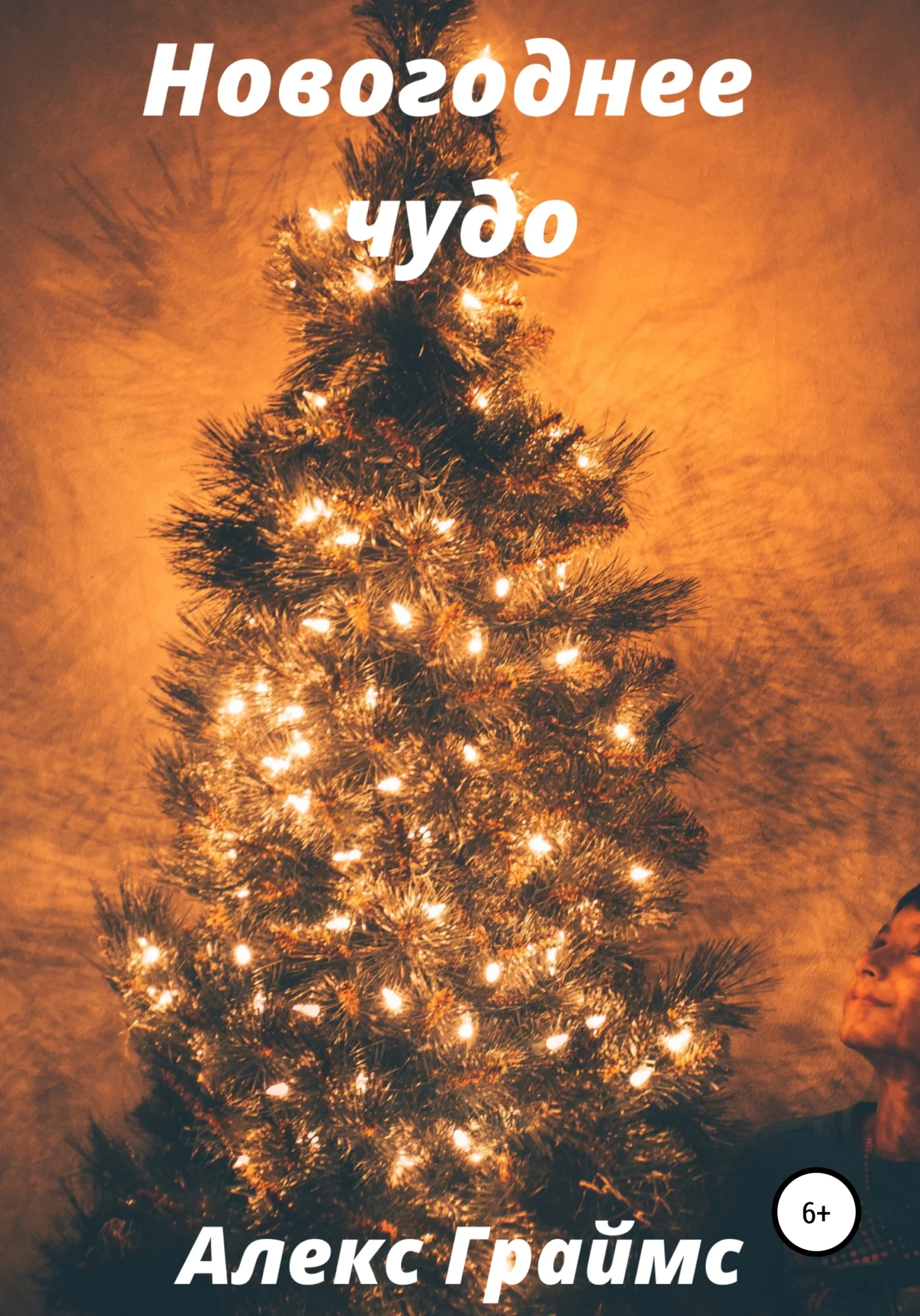 Обложка Новогоднее чудо