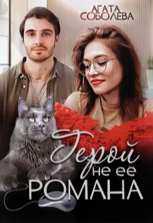 Обложка Герой не её романа
