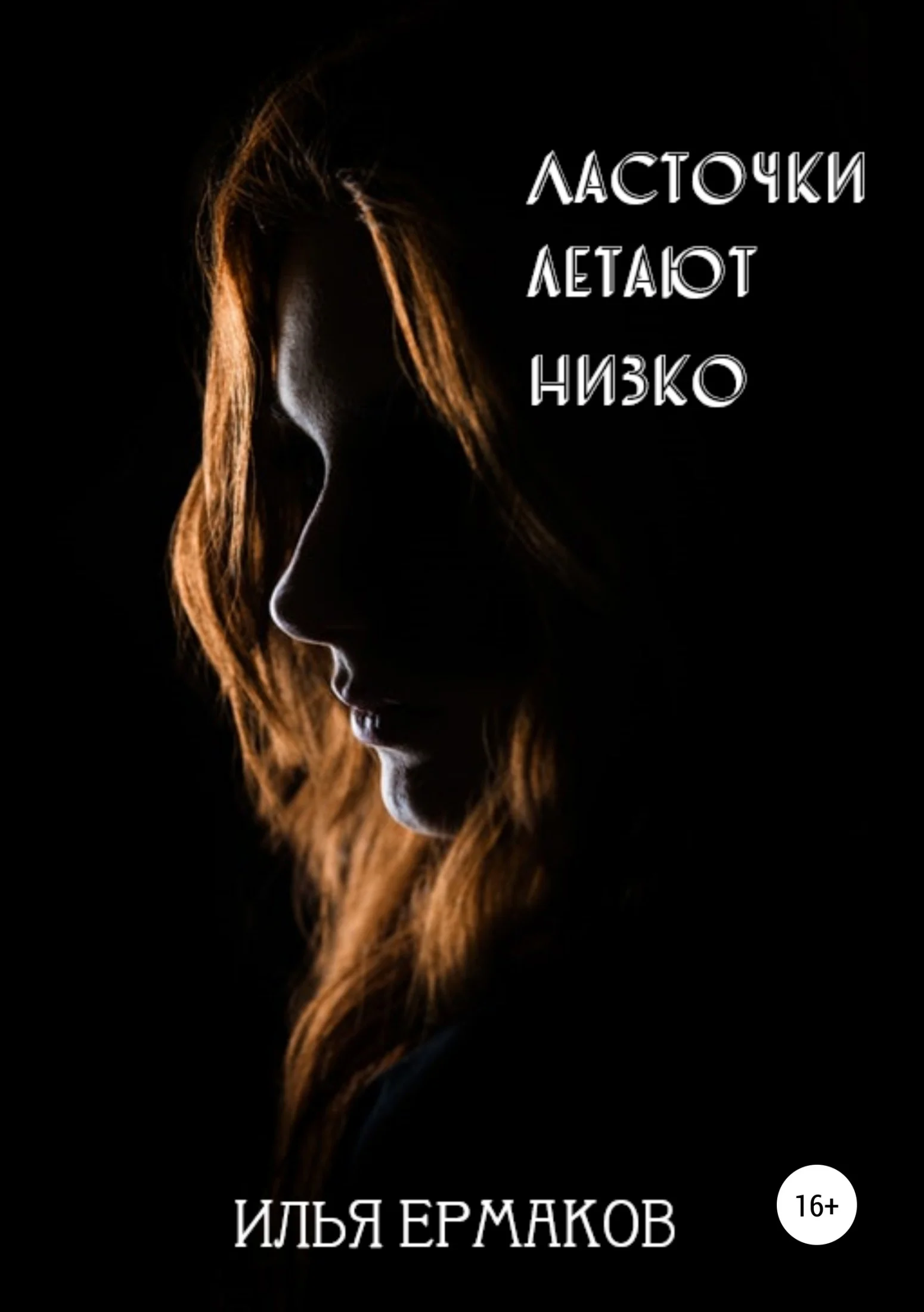 Обложка Ласточки летают низко