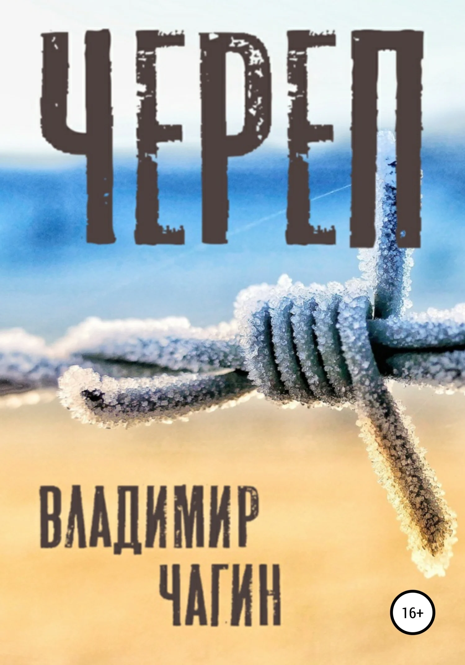 Обложка Череп