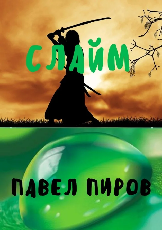 Обложка Новая жизнь