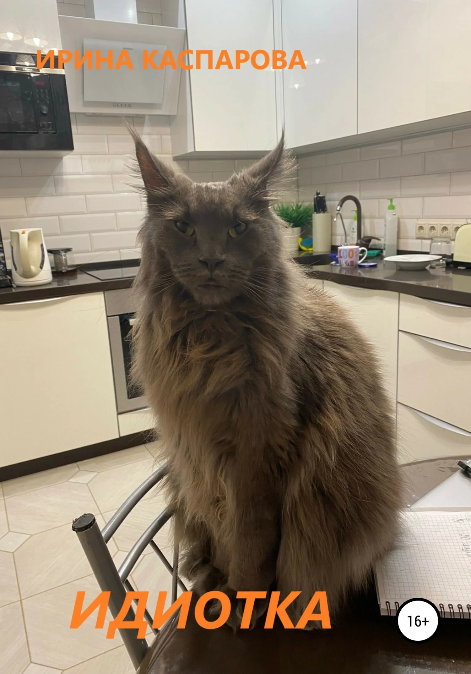 Обложка Идиотка