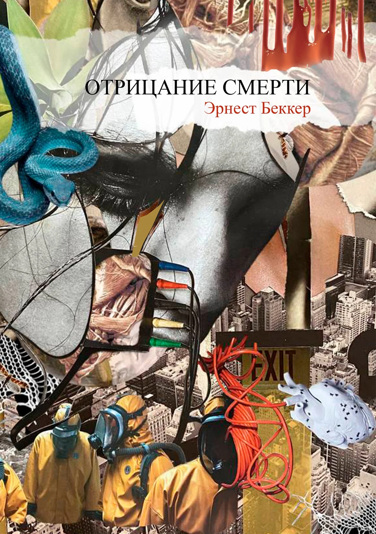Обложка Отрицание Смерти