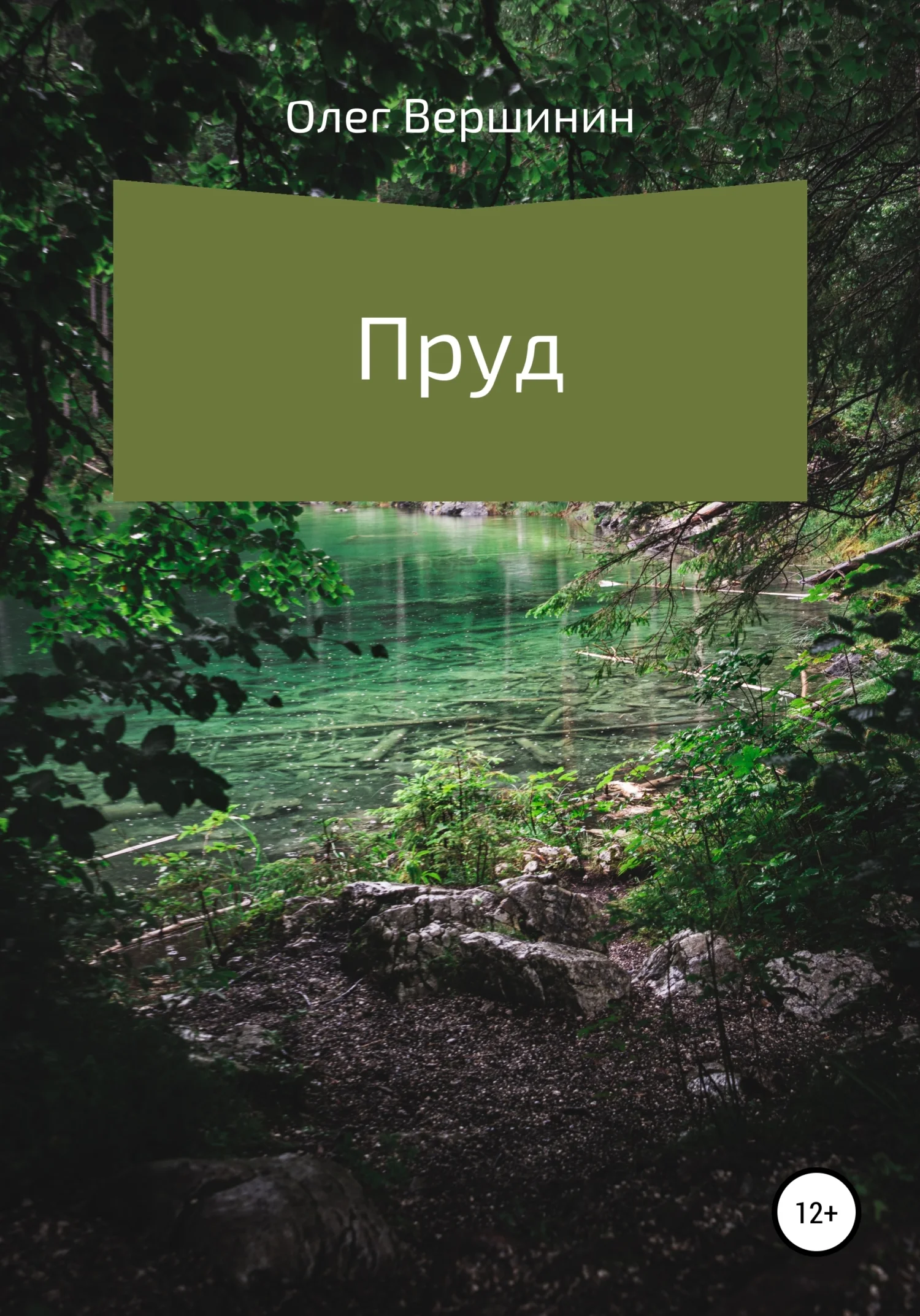 Обложка Пруд