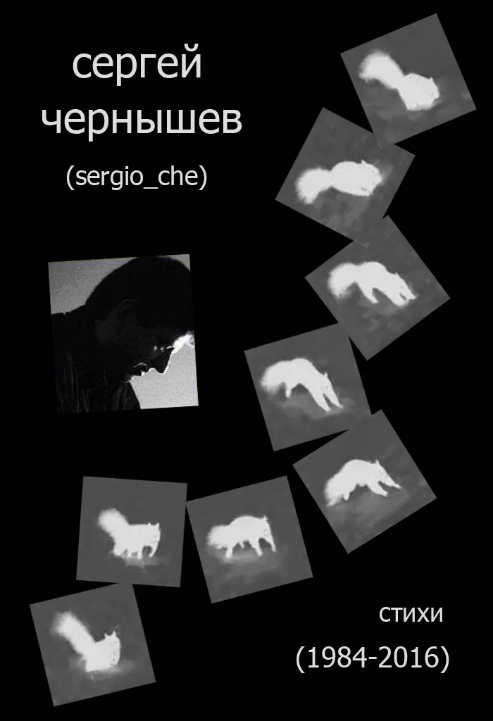 Обложка Стихи 1984 – 2016