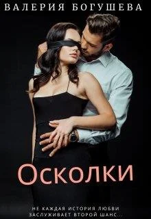 Обложка Осколки