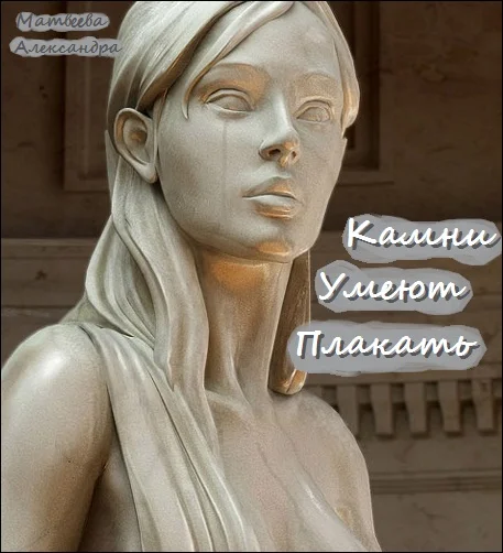 Обложка Камни Умеют Плакать