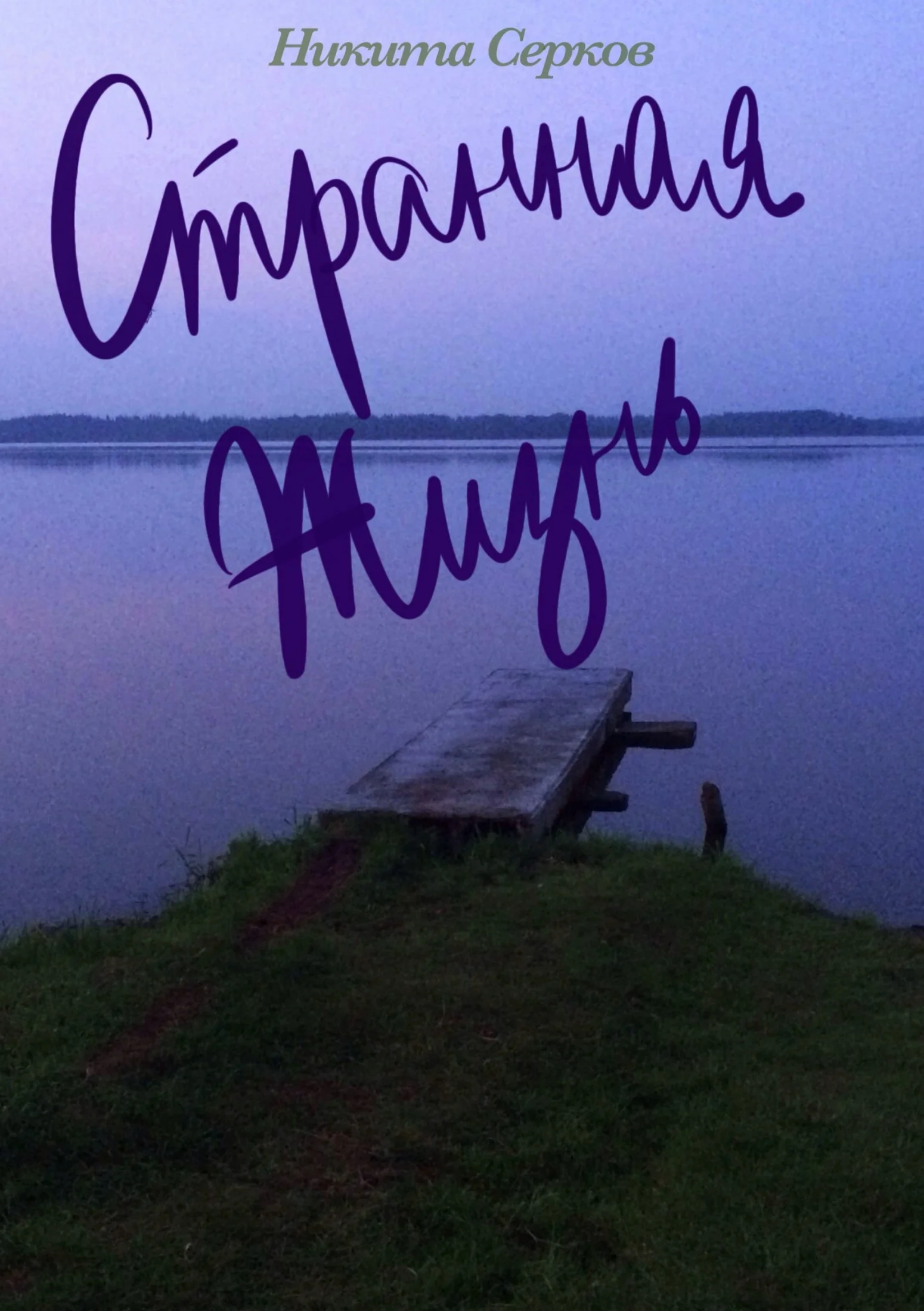 Обложка Странная жизнь