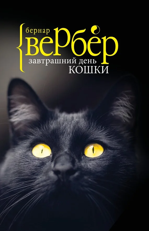 Обложка Завтрашний день кошки