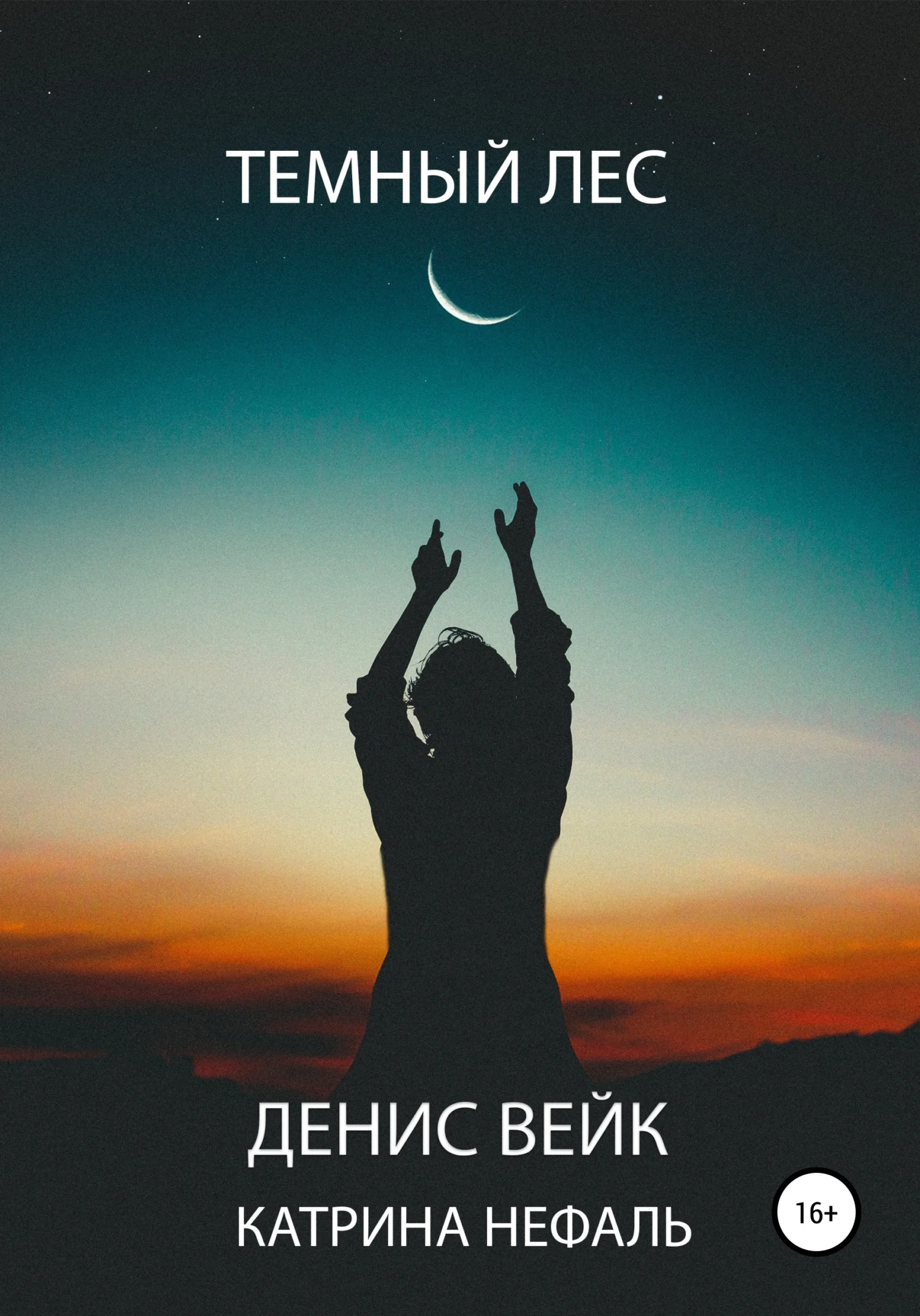 Обложка Темный лес