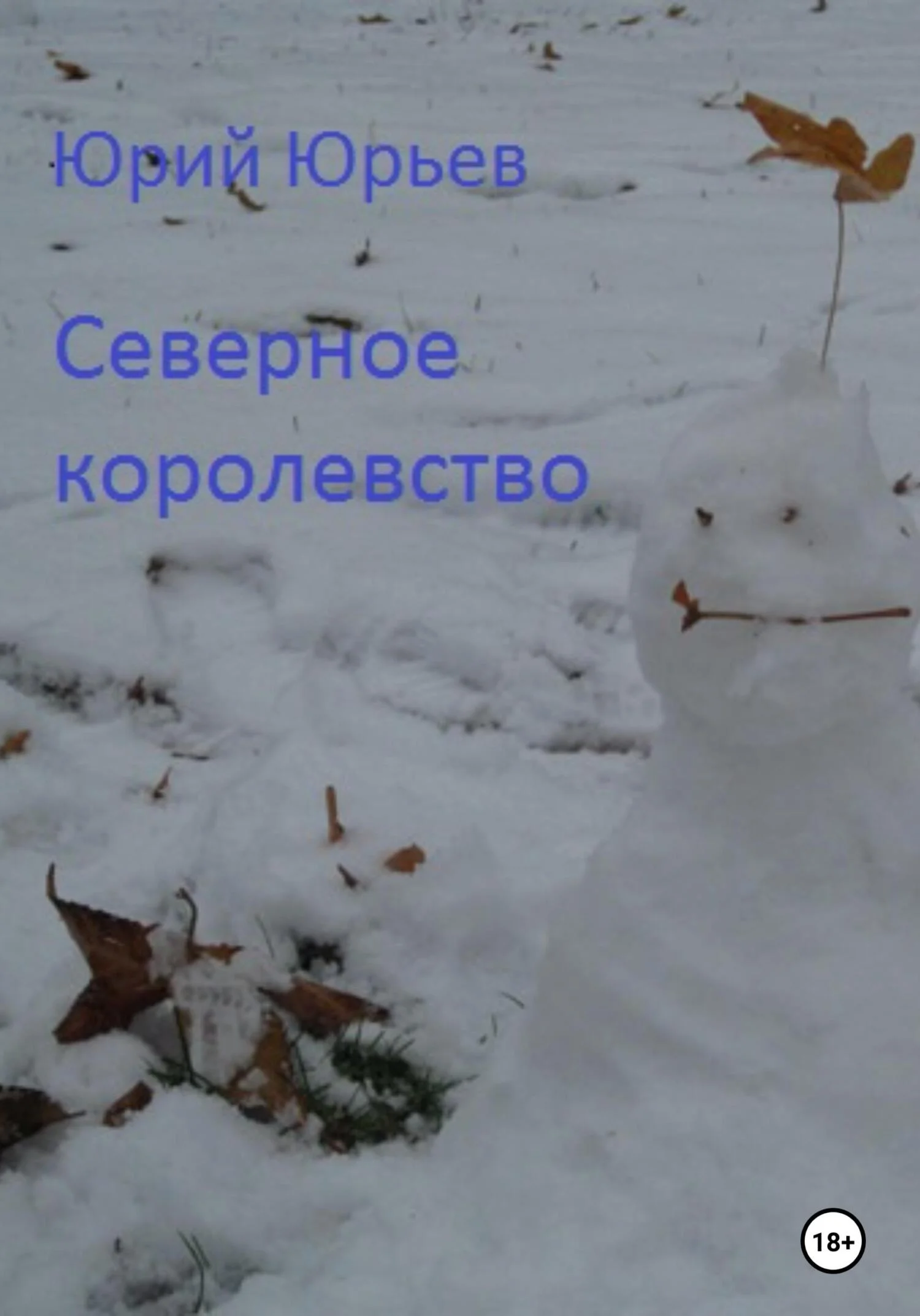 Обложка Северное королевство