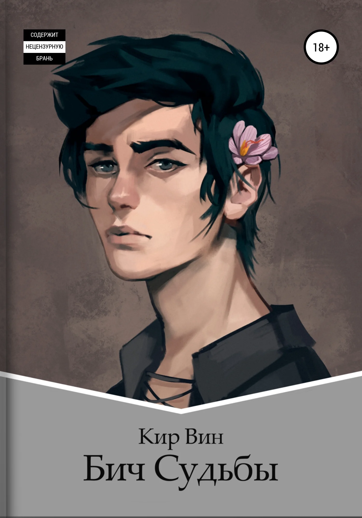 Обложка Бич Судьбы