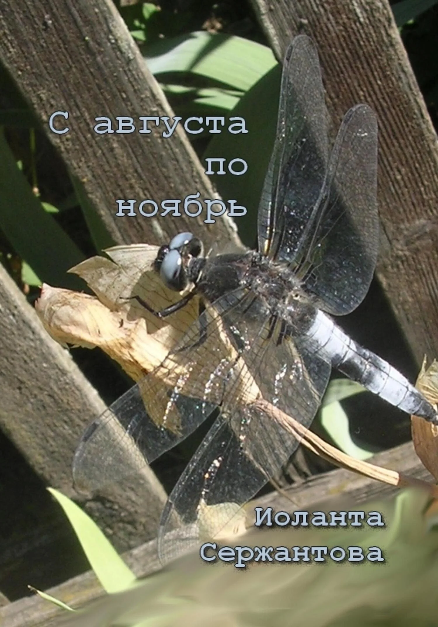 Обложка С августа по ноябрь