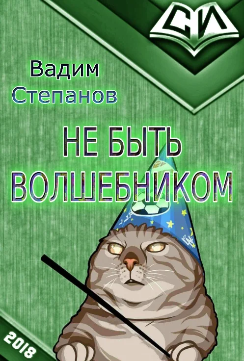 Обложка Не быть волшебником
