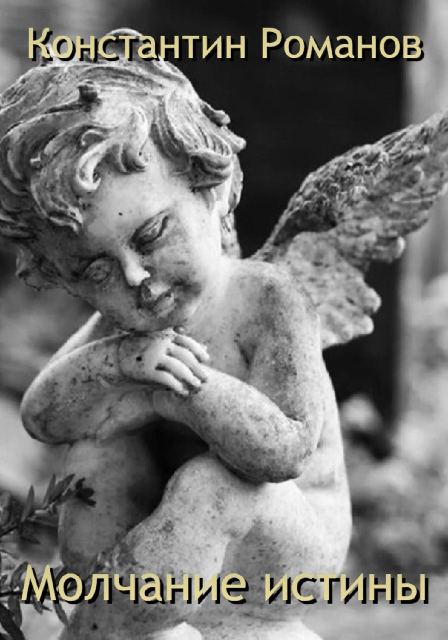 Обложка Молчание истины