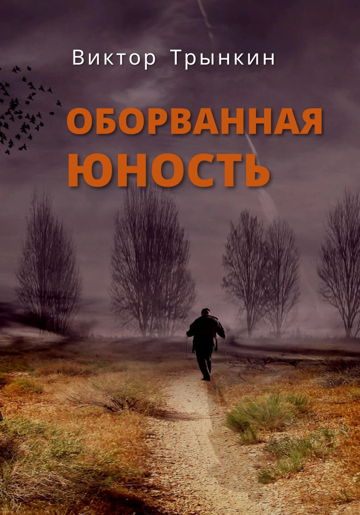 Обложка Оборванная юность