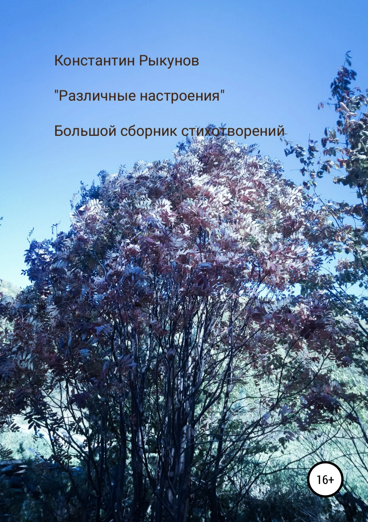 Обложка Различные настроения