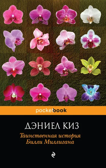Обложка Таинственная история Билли Миллигана