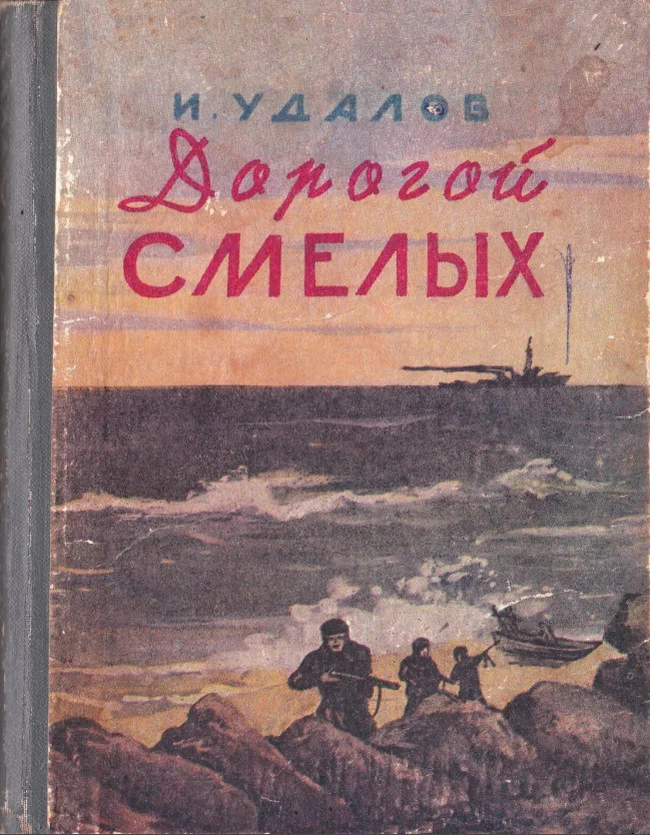 Обложка Дорогой смелых