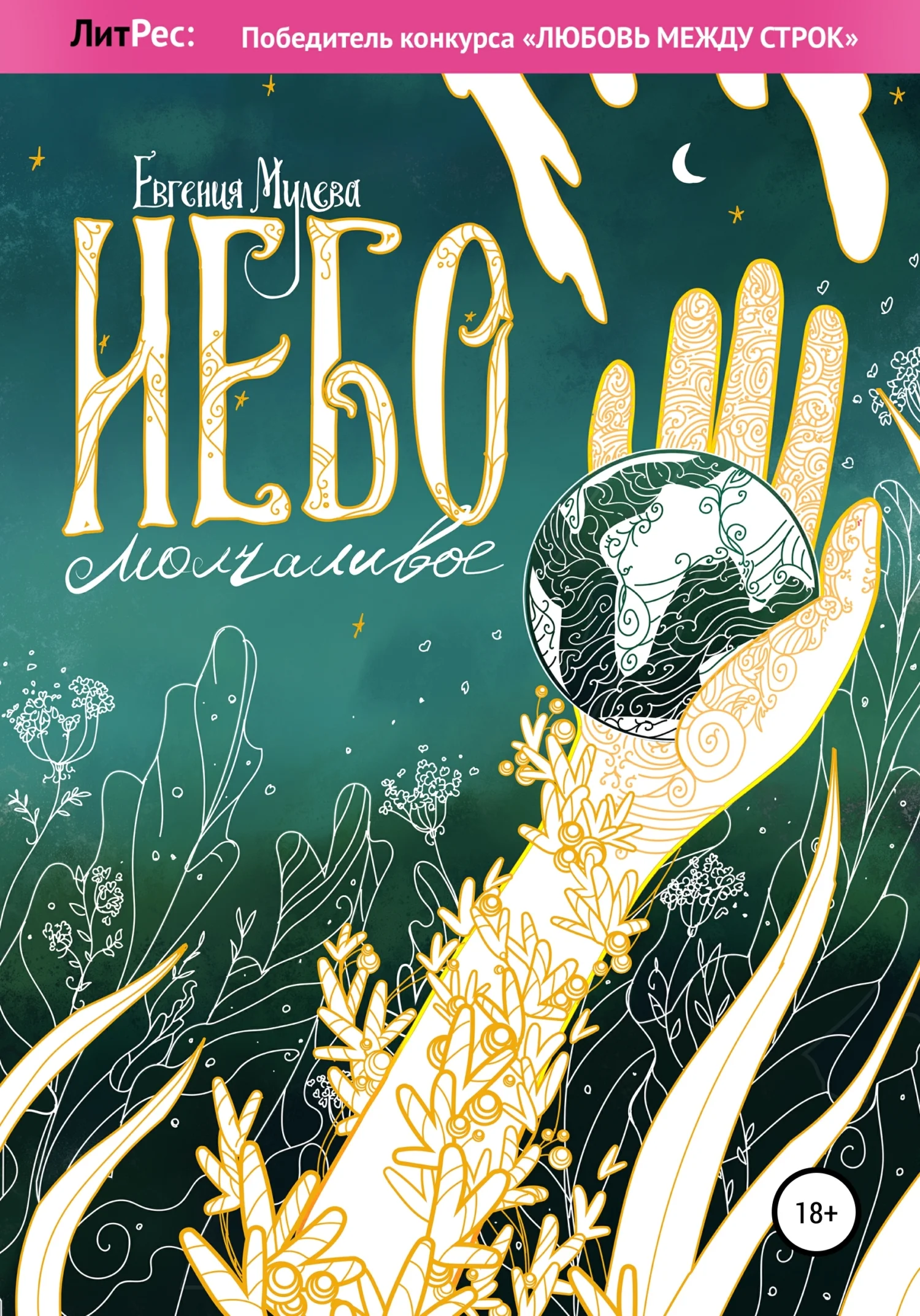 Обложка Небо молчаливое