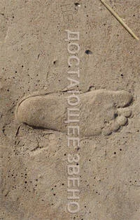 Обложка Шанс для приматов