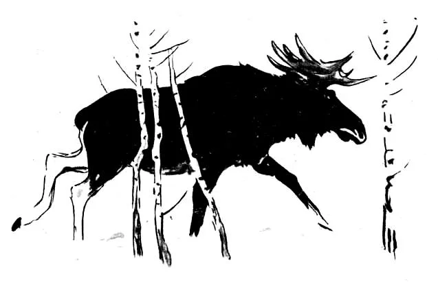 Обложка Иван-да-Марья