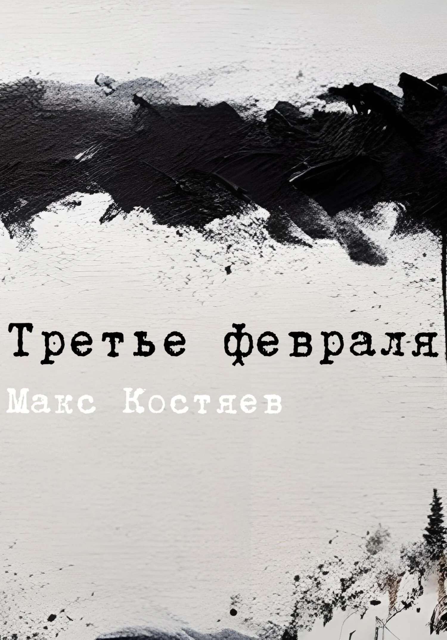 Обложка Третье февраля