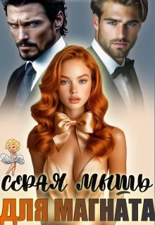 Обложка Серая мышь для магната