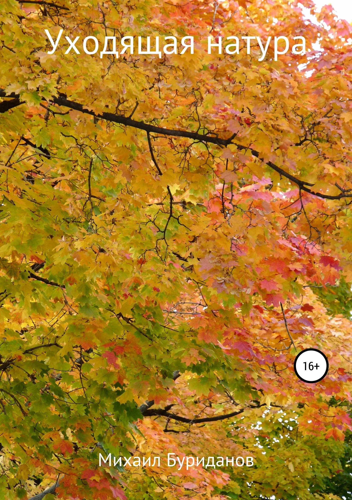 Обложка Уходящая натура