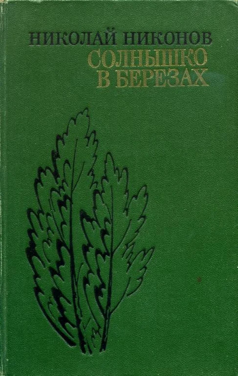 Обложка Солнышко в березах